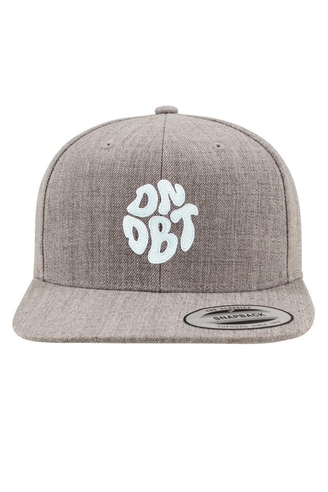 THE SNAPBACK CAP