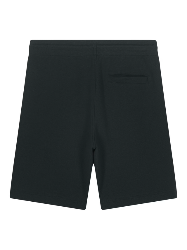 THE SHORTS